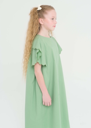 Ruffled Sleeves Girls Dress
